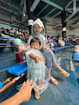 マクセル アクアパーク品川に投稿された画像（2023/9/13）