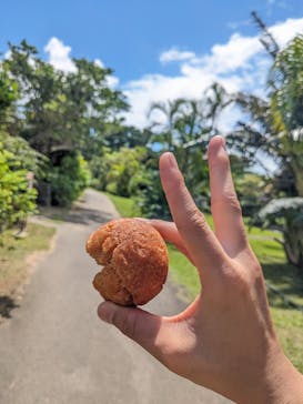 石垣やいま村に投稿された画像（2023/9/13）