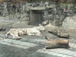 東武動物公園に投稿された画像（2023/9/13）