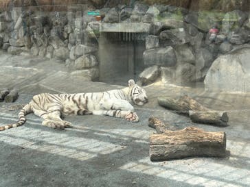 東武動物公園に投稿された画像（2023/9/13）