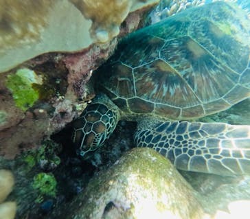 石垣島 ADVENTURE PiPi（イシガキジマアドベンチャーピピ）に投稿された画像（2023/9/13）