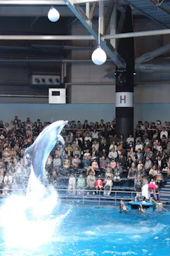 マクセル アクアパーク品川に投稿された画像（2023/9/13）