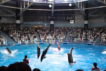 マクセル アクアパーク品川に投稿された画像（2023/9/13）