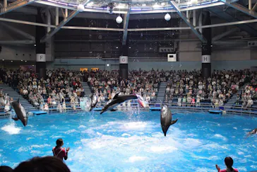 マクセル アクアパーク品川に投稿された画像（2023/9/13）