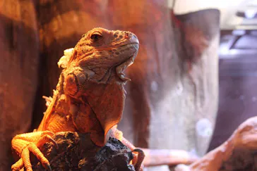 マクセル アクアパーク品川に投稿された画像（2023/9/13）