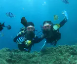 武藤潜水に投稿された画像（2023/9/13）