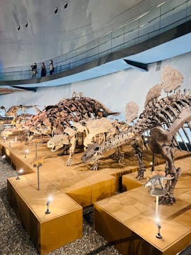 福井県立恐竜博物館に投稿された画像（2023/9/13）