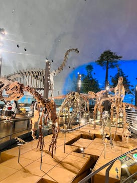 福井県立恐竜博物館に投稿された画像（2023/9/13）