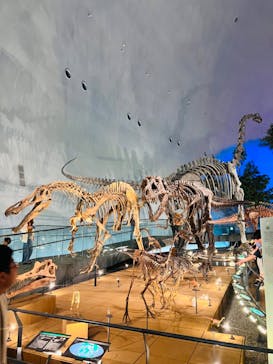 福井県立恐竜博物館に投稿された画像（2023/9/13）