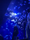 サンシャイン水族館に投稿された画像（2023/9/13）