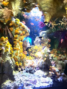 サンシャイン水族館に投稿された画像（2023/9/13）