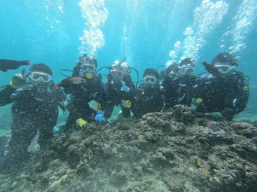武藤潜水に投稿された画像（2023/9/13）