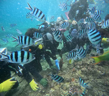 武藤潜水に投稿された画像（2023/9/13）
