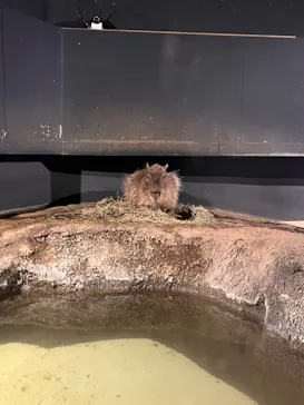 マクセル アクアパーク品川に投稿された画像（2023/9/13）