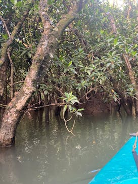 奄美シーランドに投稿された画像（2023/9/13）