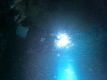 青の洞窟専門店　沖縄ダイビングショップ和に投稿された画像（2023/9/13）