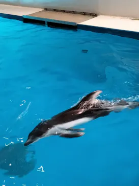 マクセル アクアパーク品川に投稿された画像（2023/9/13）