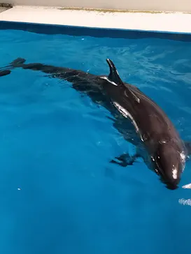 マクセル アクアパーク品川に投稿された画像（2023/9/13）