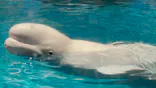 名古屋港水族館に投稿された画像（2023/9/13）