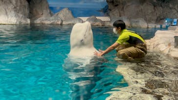 名古屋港水族館に投稿された画像（2023/9/13）