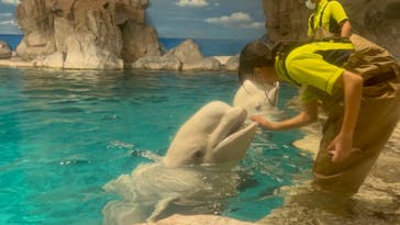 名古屋港水族館に投稿された画像（2023/9/13）