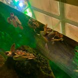 鴨川シーワールドに投稿された画像（2023/9/14）