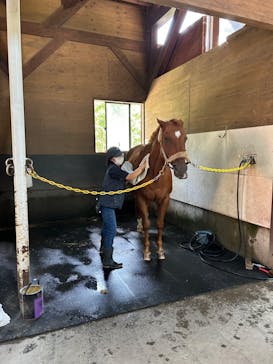 ノーザンホースパークに投稿された画像（2023/9/13）