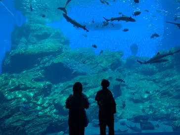 仙台うみの杜水族館に投稿された画像（2023/9/13）