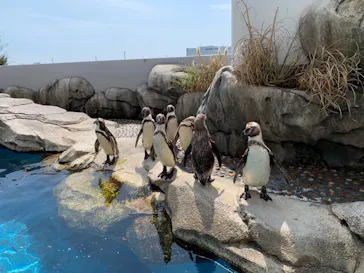仙台うみの杜水族館に投稿された画像（2023/9/13）