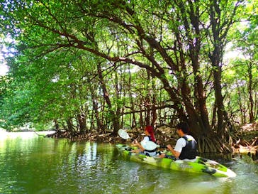 石垣島 ADVENTURE PiPi（イシガキジマアドベンチャーピピ）に投稿された画像（2023/9/14）