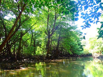 石垣島 ADVENTURE PiPi（イシガキジマアドベンチャーピピ）に投稿された画像（2023/9/14）