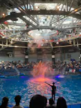 サンシャイン水族館に投稿された画像（2023/9/14）