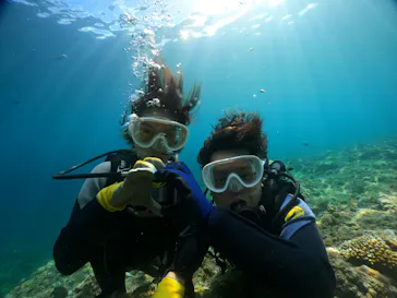 武藤潜水に投稿された画像（2023/9/14）
