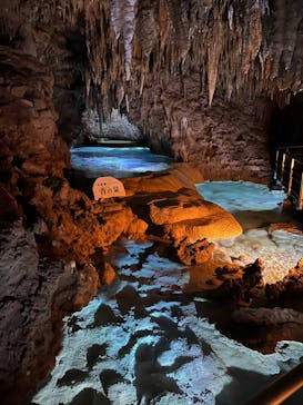 おきなわワールドに投稿された画像（2023/9/14）