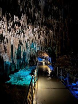 おきなわワールドに投稿された画像（2023/9/14）