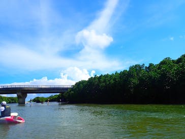 石垣島 ADVENTURE PiPi（イシガキジマアドベンチャーピピ）に投稿された画像（2023/9/14）