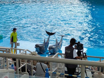 名古屋港水族館に投稿された画像（2023/9/14）