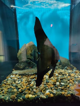名古屋港水族館に投稿された画像（2023/9/14）