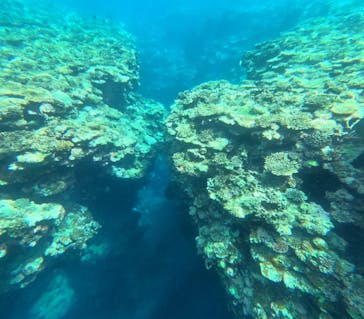 石垣島 ADVENTURE PiPi（イシガキジマアドベンチャーピピ）に投稿された画像（2023/9/14）