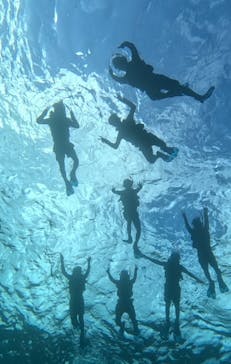 石垣島 ADVENTURE PiPi（イシガキジマアドベンチャーピピ）に投稿された画像（2023/9/14）