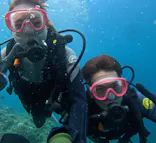 武藤潜水に投稿された画像（2023/9/14）