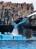 名古屋港水族館に投稿された画像（2023/9/14）
