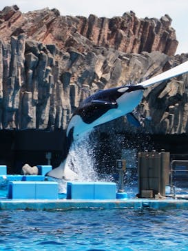 名古屋港水族館に投稿された画像（2023/9/14）