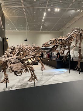 大阪市立自然史博物館に投稿された画像（2023/9/14）