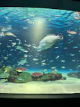 サンシャイン水族館に投稿された画像（2023/9/14）
