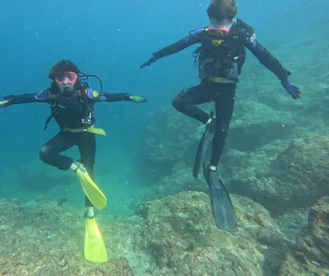 武藤潜水に投稿された画像（2023/9/14）