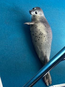 ゼロ距離水族館 伊勢シーパラダイスに投稿された画像（2023/9/14）