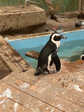 ゼロ距離水族館 伊勢シーパラダイスに投稿された画像（2023/9/14）