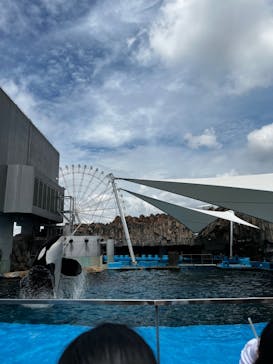名古屋港水族館に投稿された画像（2023/9/14）