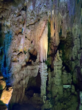 あぶくま洞に投稿された画像（2023/9/14）